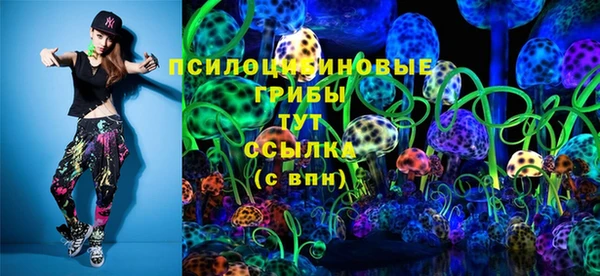 стаф Богородск