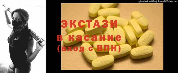 гидра Богданович