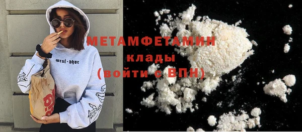 гидра Богданович