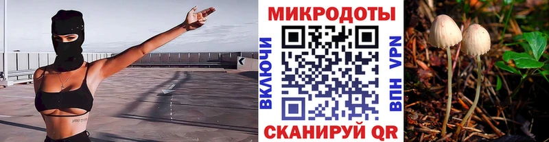 Псилоцибиновые грибы Psilocybine cubensis  Зима 